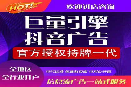 专业SEM服务公司案例分析报告